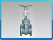 給袋式包裝機-粉劑包裝方案